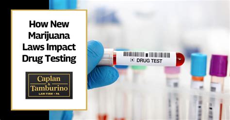 what is impact drug testing|impact net log in.